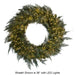 48" Frosted Artificial Brighton Pine LED-Lighted Hanging Wreath -Green/White - C200914
