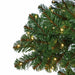 14'Hx98"W Commercial Oregon Fir Artificial Christmas Tree w/Tree Frame, Outdoor LED Pre-Lit -Green - C-201158