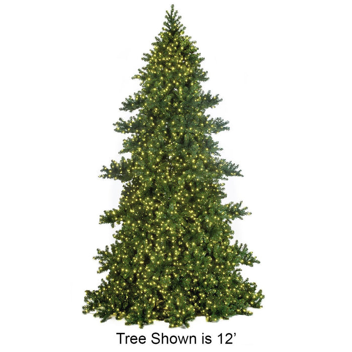 16'Hx104"W Commercial Oregon Fir Artificial Christmas Tree w/Tree Frame, Outdoor LED Pre-Lit -Green - C-201168