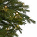 7'6"Hx71"W PE Princeton Fir Artificial Christmas Tree, LED Pre-Lit -Green - C201194