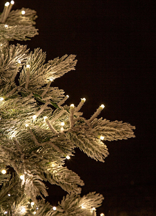 7'6"Hx61"W PE Frosted Highland Spruce Cluster LED-Lighted Artificial Christmas Tree w/Stand -White/Green - C201234