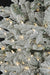 7'6"Hx49"W PE Flocked Hartford Spruce Artificial Christmas Tree, LED Pre-Lit -White/Green - C210054