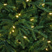 9'Hx64"W PE Fluff-Free Cordova Fir Artificial Christmas Tree, LED Pre-Lit -Green - C210254