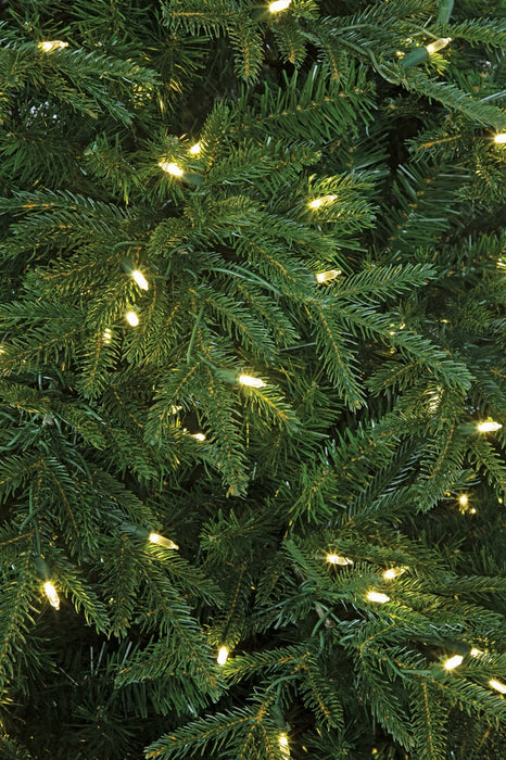 7'6"Hx60"W PE Fluff-Free Cordova Fir LED-Lighted Artificial Christmas Tree w/Stand -Green - C210244
