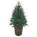 3' PE Slim Hamilton Pine Cone-Shaped Artificial Topiary w/Wood Pot, LED Pre-Lit (Multicolor, Multi-Mode) -Green - C-210389