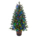 5' PE Slim Hamilton Pine Cone-Shaped Artificial Topiary w/Wood Pot, LED Pre-Lit (Multicolor, Multi-Mode) -Green - C-210399