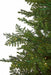 9'Hx61"W PE Layered Rosemary Pine LED-Lighted Artificial Christmas Tree w/Stand -Green - C220154