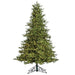 12'Hx94"W PE Peggy Pine LED-Lighted Artificial Christmas Tree w/Stand -Green - C220324