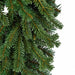 9'Lx18"W PE Pacific Fir Artificial Garland -Green - C-230040