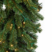 9'Lx18"W PE Pacific Fir Artificial Garland, Micro LED Pre-Lit -Green - C-230044