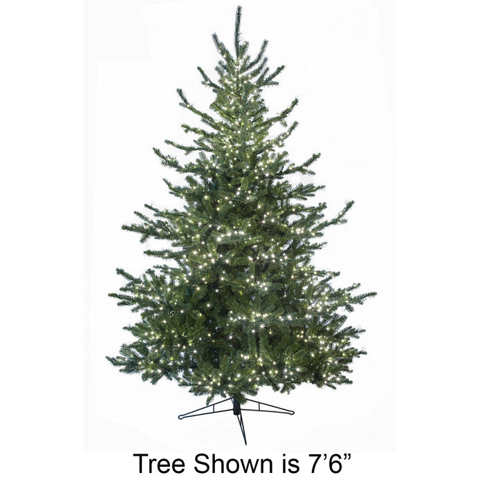 6'Hx50"W PE Pacific Fir Artificial Christmas Tree, Micro LED Pre-Lit -Green - C-230064