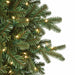 15'Hx76"W PE Georgia Fir Artificial Christmas Tree, Micro LED Pre-Lit -Green - C-230494