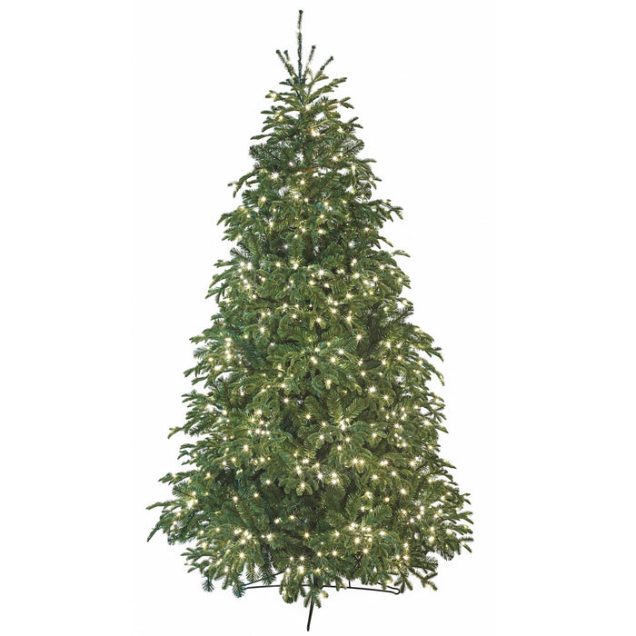 7'6"Hx56"W PE Georgia Fir Rice LED-Lighted Artificial Christmas Tree w/Stand -Green - C-230464