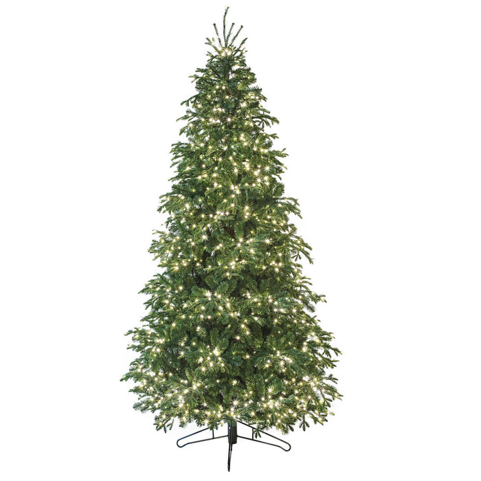 9'Hx58"W PE Georgia Fir Rice LED-Lighted Artificial Christmas Tree w/Stand -Green - C-230474