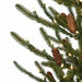 9'Hx58"W PE Siberian Blue Spruce & Pinecone Artificial Christmas Tree, LED Pre-Lit -Green - C-230514