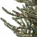 15'Hx79"W PE Flocked Siberian Blue Spruce & Pinecone Artificial Christmas Tree, Micro LED Pre-Lit -Green - C-240544