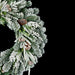 30" PE Flocked Artificial Snowy Douglas Fir & Pinecone Wreath -White/Green - C-240580