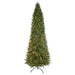 12'Hx62"W PE Grand Noble Fir Artificial Christmas Tree, Micro LED Pre-Lit (Multi-Mode) -Green - C-250309