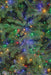 9'x62"W PE Grand Empress Fir Artificial Christmas Tree, Micro LED Pre-Lit (Multi-Mode) -Green - C-250379