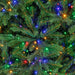 9'x62"W PE Grand Empress Fir Artificial Christmas Tree, Micro LED Pre-Lit (Multi-Mode) -Green - C-250379