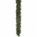 9'Lx16"W PE Norfolk Pine Artificial Garland, Micro LED Pre-Lit (Warm White, Multi-Mode) -White (Pack of 2) - C-250524