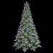 12'Hx87"W PE Flocked Canaan Fir Artificial Christmas Tree, LED Pre-Lit (Warm White+Multicolor, Multi-Mode) -White/Green - C-250634