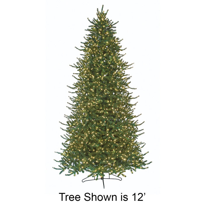 15'x90"W PE Windsor Spruce Artificial Christmas Tree, Micro LED Pre-Lit (Multi-Mode) -Green - C-250929