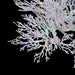 5'Hx33"W PE Flocked Twig Artificial Christmas Tree, Micro LED Pre-Lit (Warm White, Multi-Mode) -White - C-260209