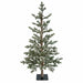4'Hx26"W PE Flocked Fircrest Fir Artificial Christmas Tree -Green/White - C-260550