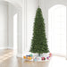 9'Hx47"W Slim Oregon Fir Artificial Christmas Tree, LED Pre-Lit -Green - C164086LED