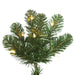 16'Hx73"W Slim Oregon Fir Artificial Christmas Tree, LED Pre-Lit -Green - C164094LED