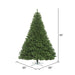 6'6"Hx60"W Oregon Fir Artificial Christmas Tree, Unlit -Green - C164165