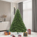 6'6"Hx60"W Oregon Fir Artificial Christmas Tree, Unlit -Green - C164165