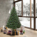 6'6"Hx60"W Oregon Fir Artificial Christmas Tree, LED Pre-Lit -Green - C164166LED