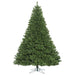 6'6"Hx60"W Oregon Fir Artificial Christmas Tree, Unlit -Green - C164165