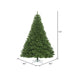 7'6"Hx65"W Oregon Fir Artificial Christmas Tree, Unlit -Green - C164175