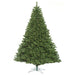 4'6"Hx39"W Oregon Fir Artificial Christmas Tree, LED Pre-Lit -Green - C164146LED