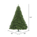 8'6"Hx82"W Oregon Fir Artificial Christmas Tree, Unlit -Green - C164185