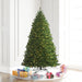 5'6"Hx44"W Outdoor UV-Resistant Oregon Fir Artificial Christmas Tree, LED Pre-Lit -Green - C165256LED