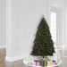 6'6"Hx50"W Outdoor UV-Resistant Oregon Fir Artificial Christmas Tree, LED Pre-Lit -Green - C165266LED