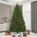 9'Hx61"W Outdoor UV-Resistant Oregon Fir Artificial Christmas Tree, LED Pre-Lit -Green - C165281LED