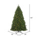 10'Hx69"W Outdoor UV-Resistant Oregon Fir Artificial Christmas Tree, LED Pre-Lit -Green - C165286LED