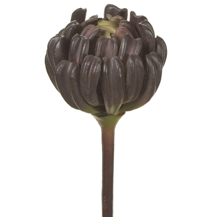 6"Hx3"W Real Touch Aeonium Artificial Stem Pick -Brown (pack of 12) - CA0006-BR
