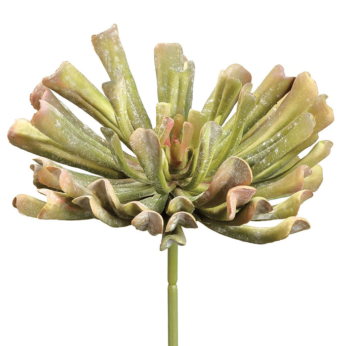 12" Real Touch Artificial Aeonium Stem Pick -Green/Mauve (pack of 6) - CA0012-GR/MV