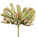 12" Real Touch Artificial Aeonium Stem Pick -Green/Mauve (pack of 6) - CA0012-GR/MV