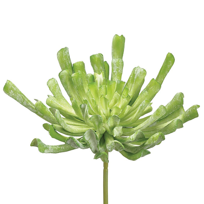 12" Real Touch Large Artificial Aeonium Stem Pick -Green/Flocked (pack of 6) - CA0014-GR/FK