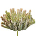 13" Real Touch Giant Artificial Aeonium Stem Pick -Green/Mauve (pack of 2) - CA0015-GR/MV