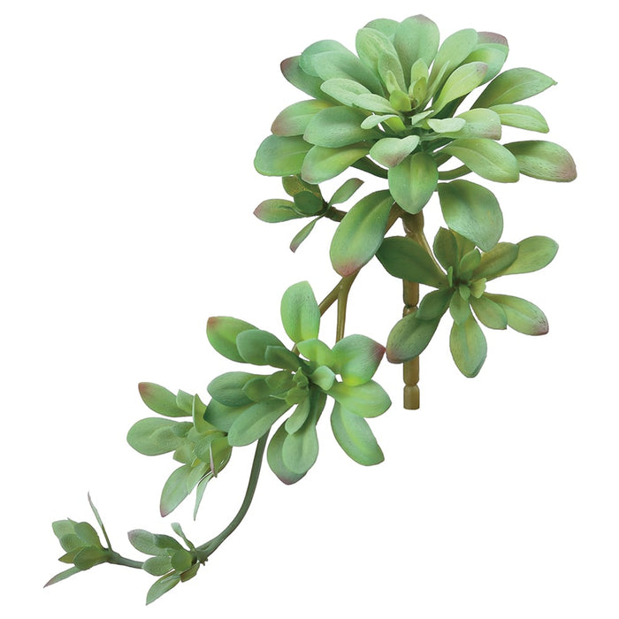 11.8" Soft Aeonium Artificial Stem Pick -Green/Gray (pack of 24) - CA0188-GR/GY