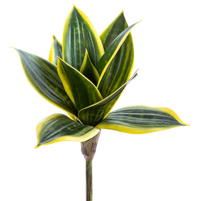 snake plant mini 9" Artificial Mini Sansevieria Snake Grass Plant -Green/Cream — Silks Are Forever