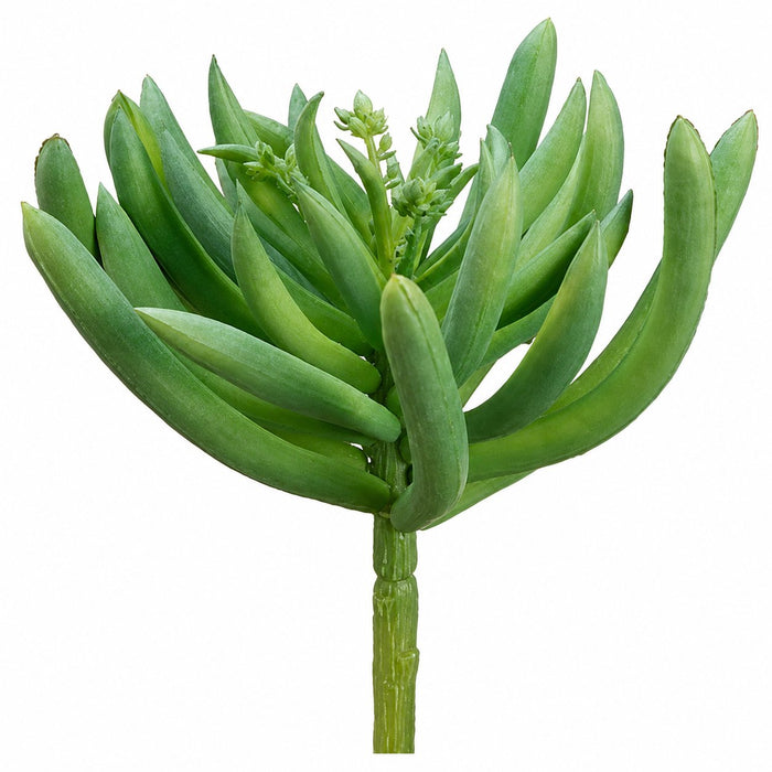 5.5" Real Touch Spike Aeonium Artificial Stem -Green/Frosted (Pack of 24) - CA1019-GR/FS